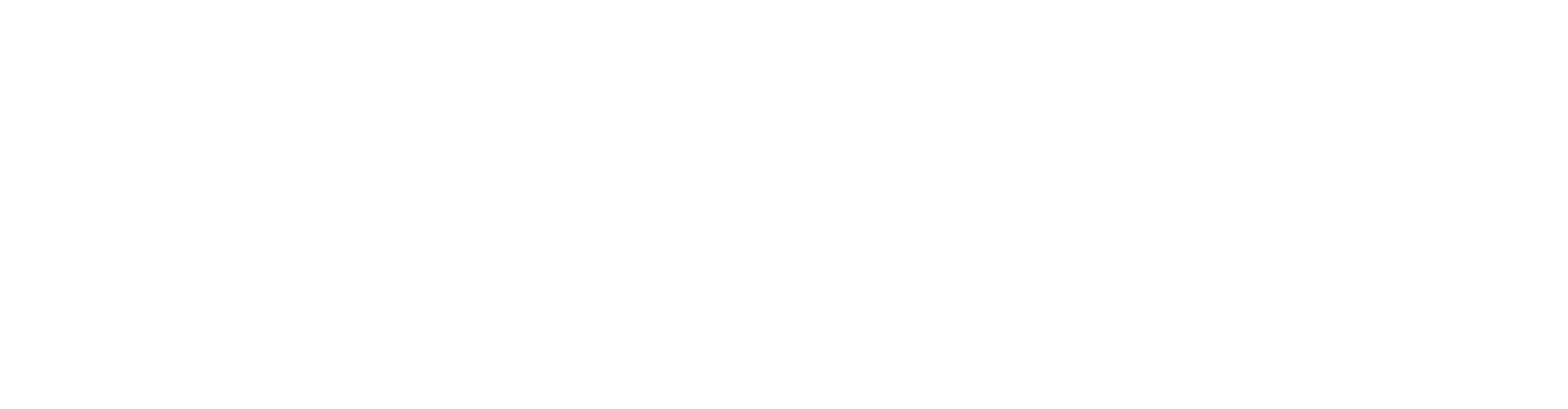 Dar El Sakina 